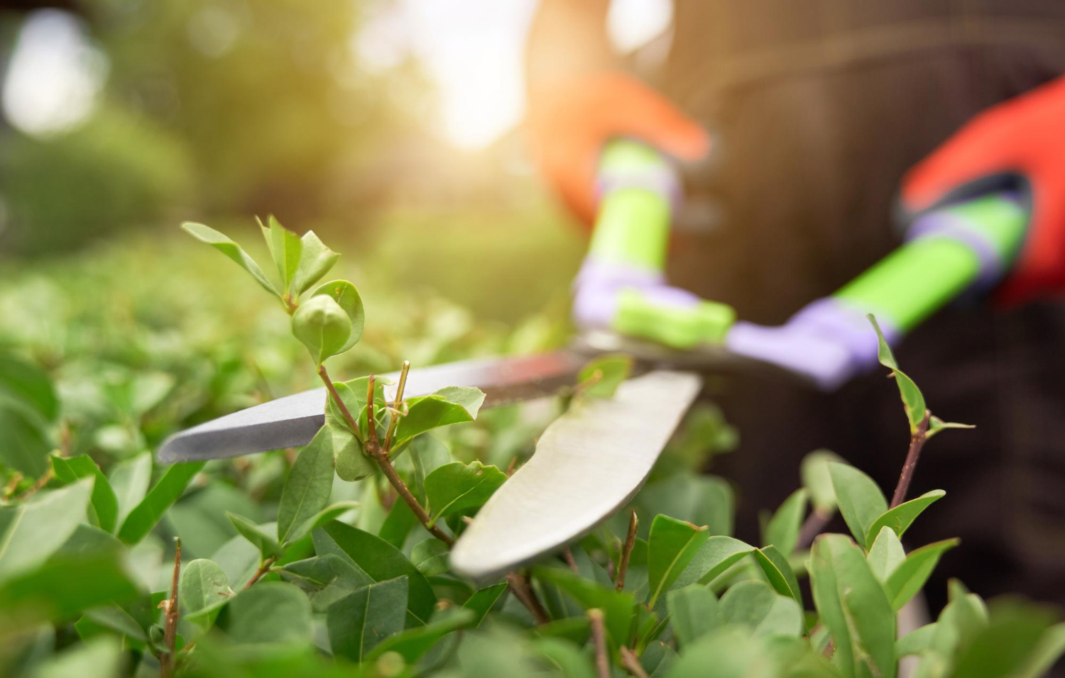 Gemeinsame Arbeit im Gartenbeet